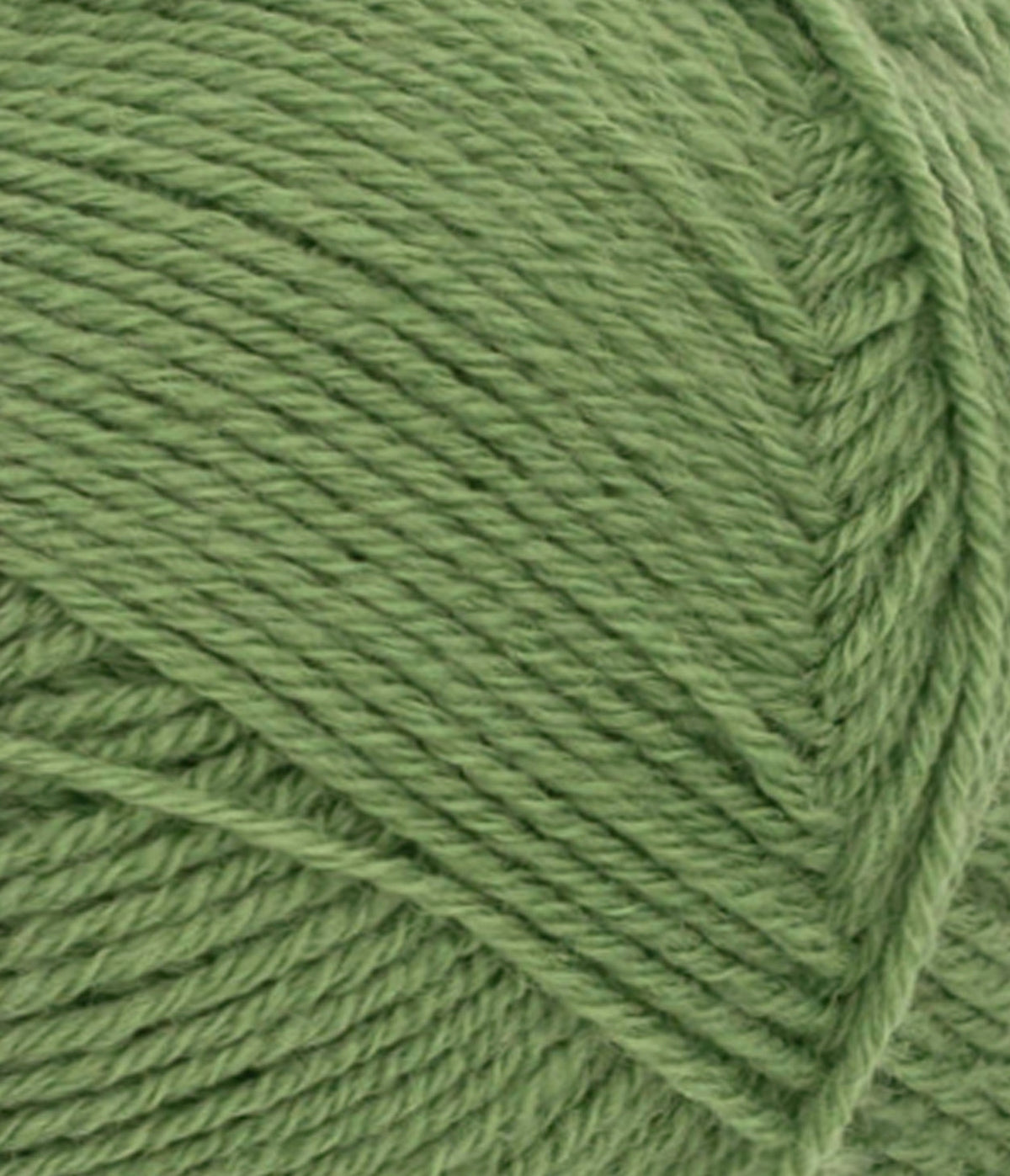 Sunday Vineyard green 3x2/28