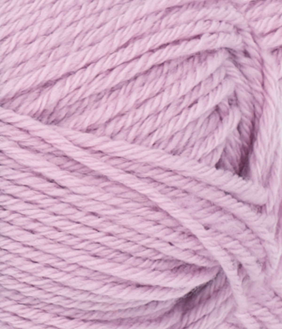Double Sunday Pink Lilac