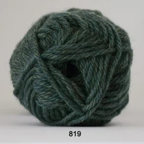 Ragg farvenummer 819