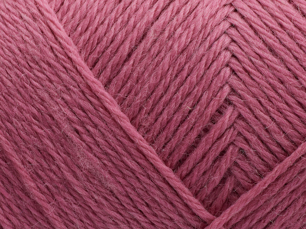 Arwetta - Desert Rose