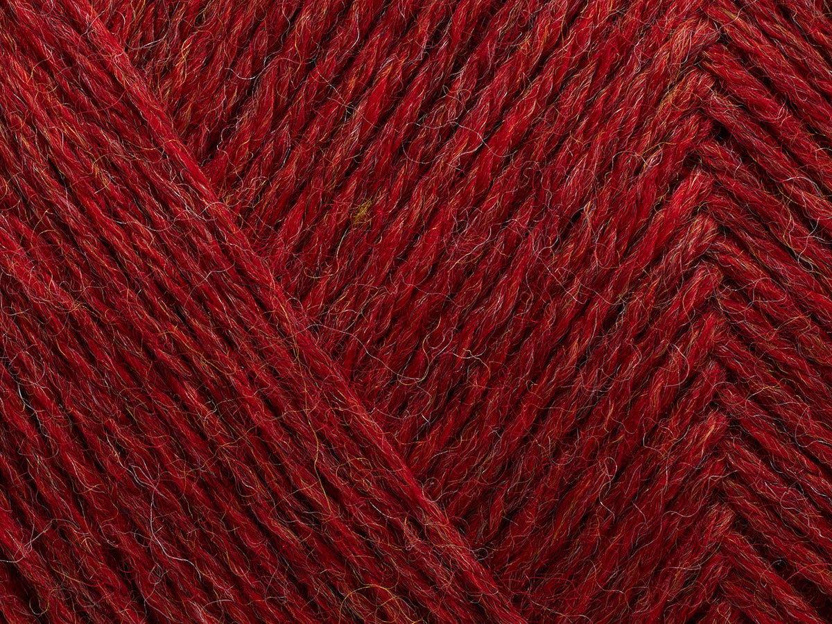 Arwetta - Chrysanthemum (melange