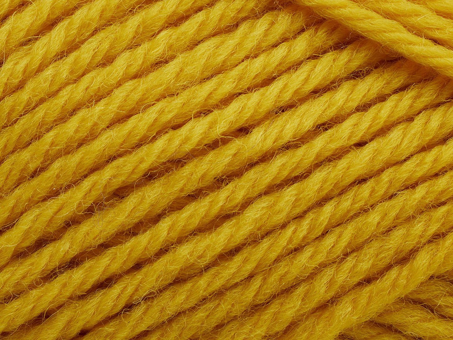 Peruvian - Sunflower