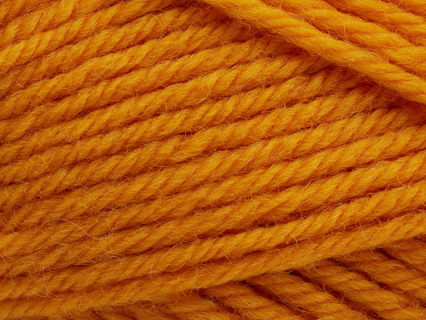 Peruvian - Kumquat