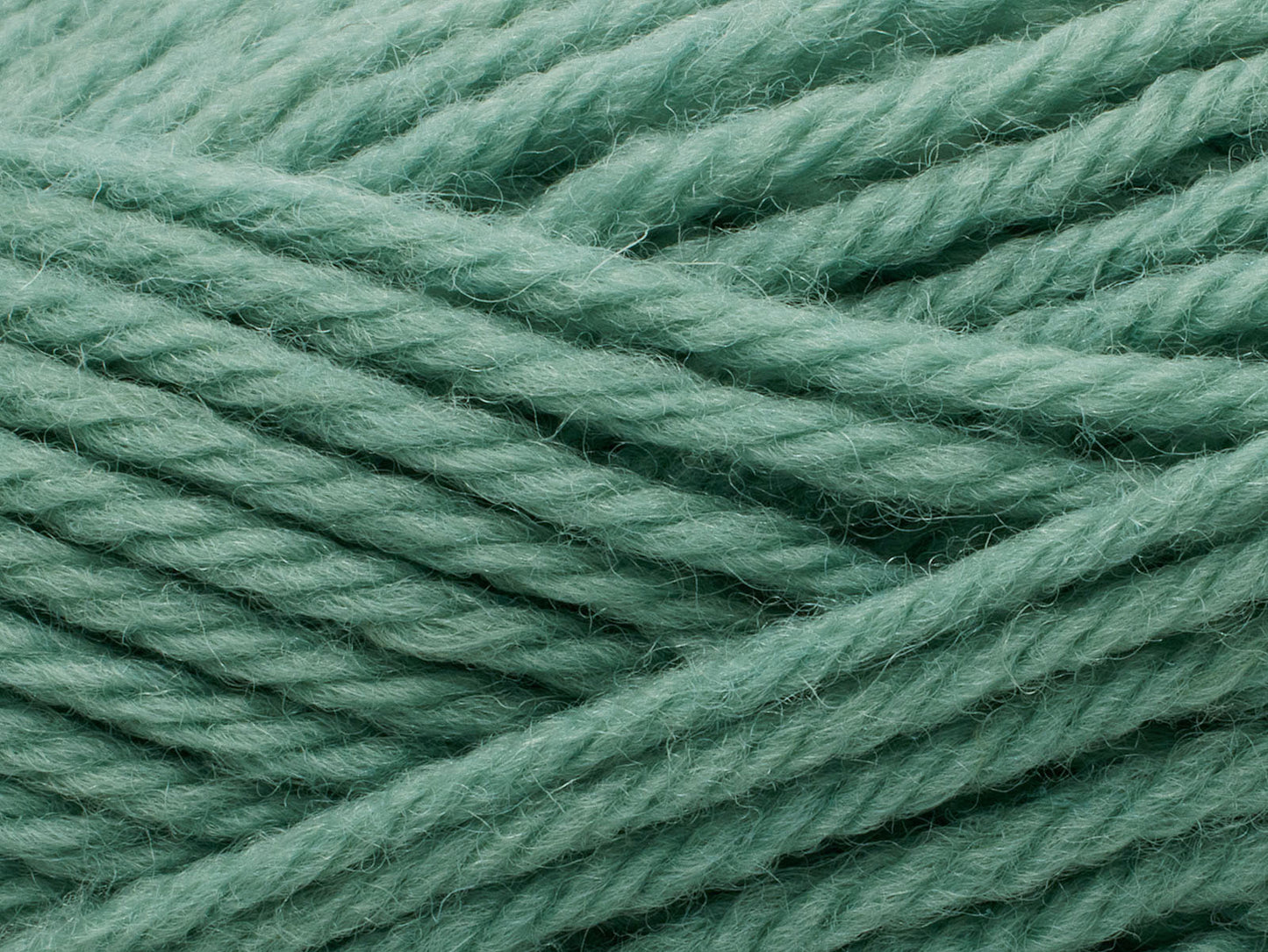 Peruvian - Eucalyptus