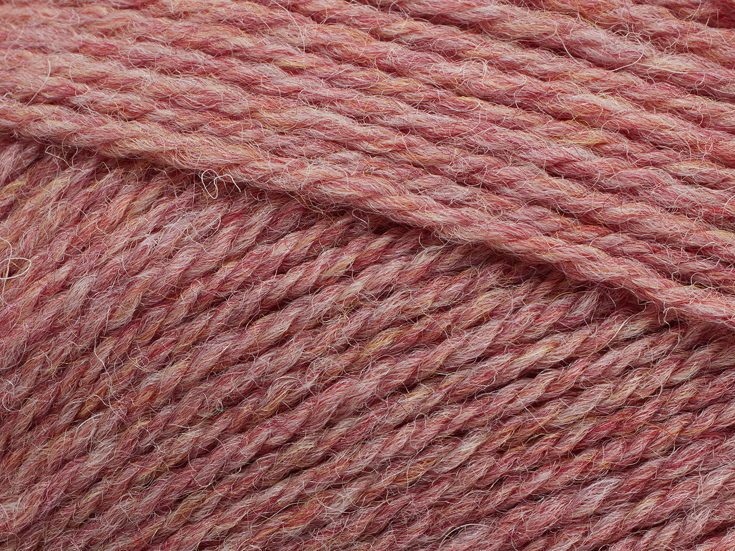 Pernilla - Ranunculus (melange)