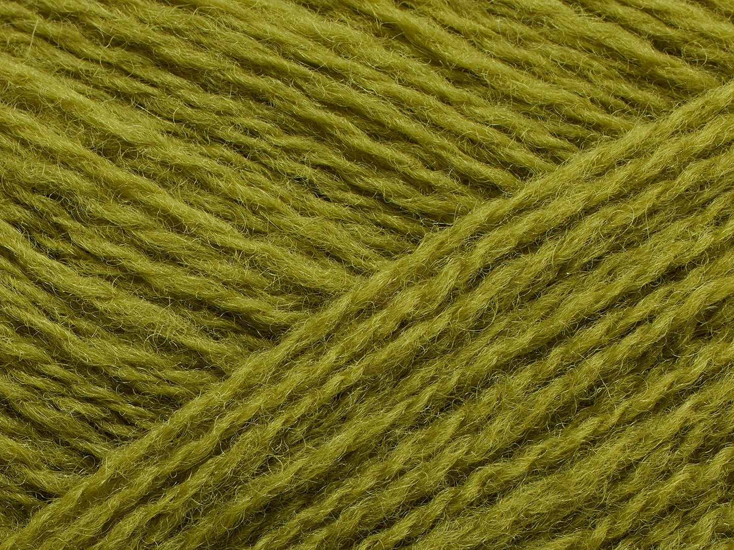Saga - Sorrel
