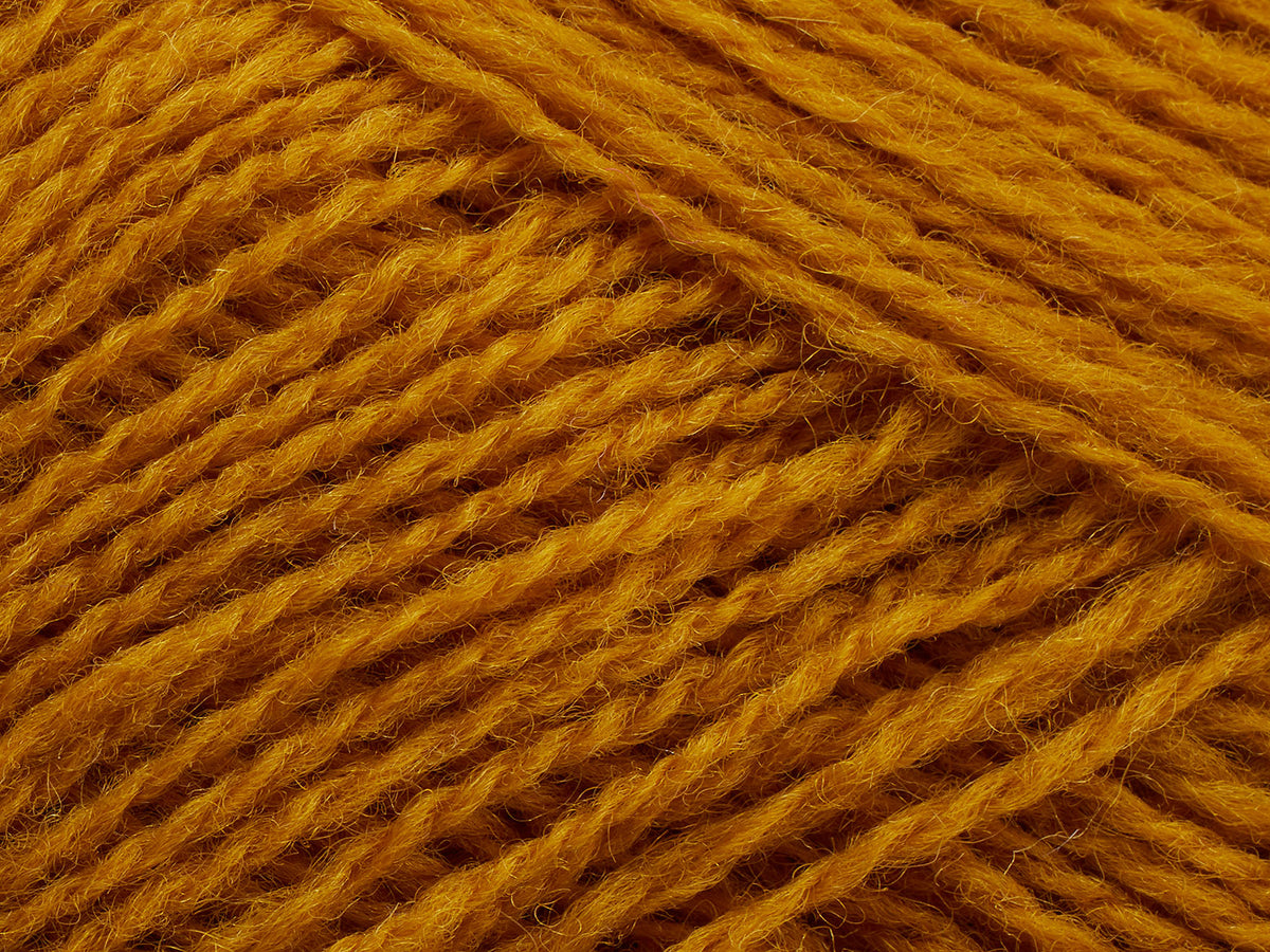 Saga - Turmeric