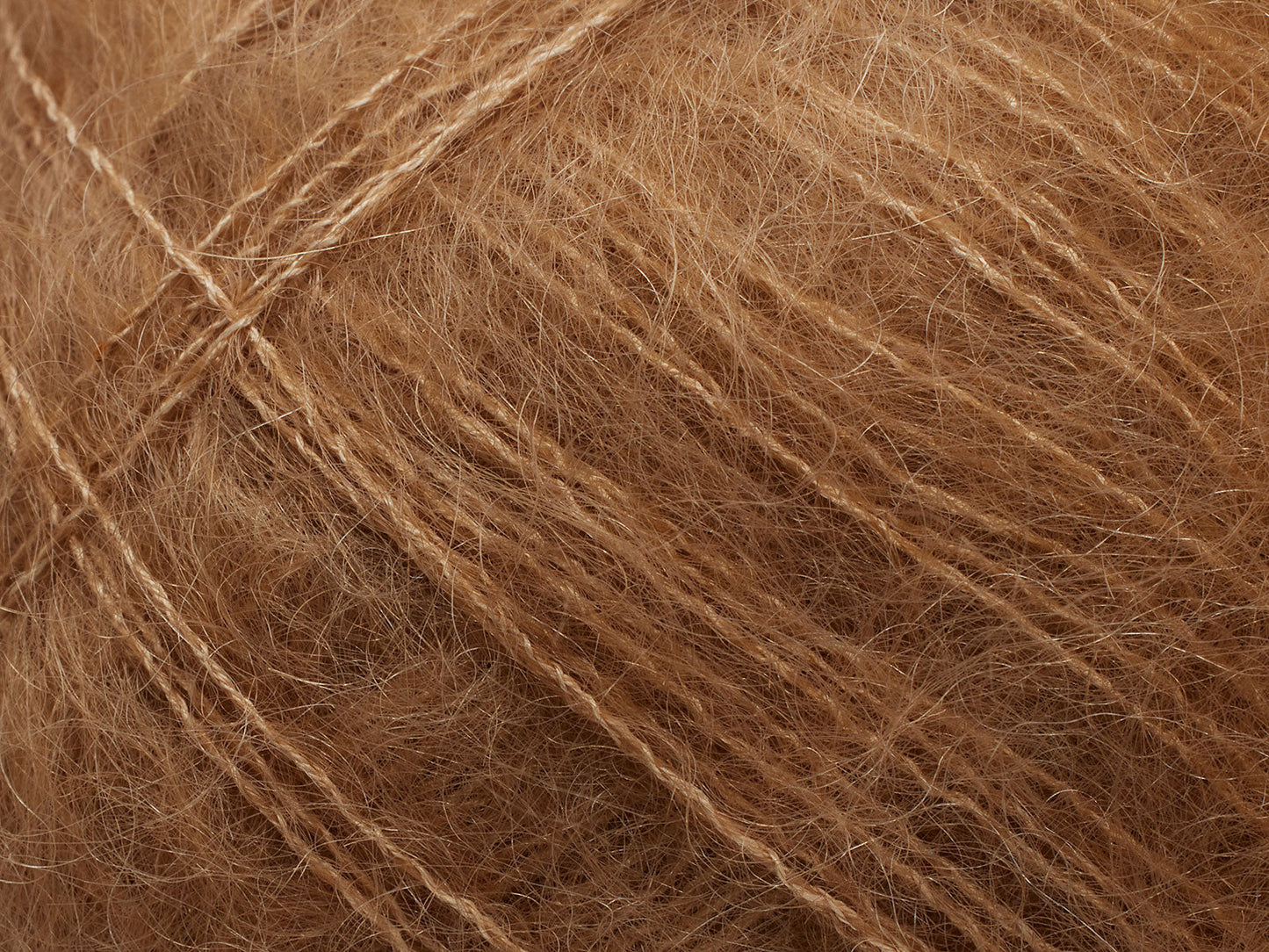 Tilia - Camel