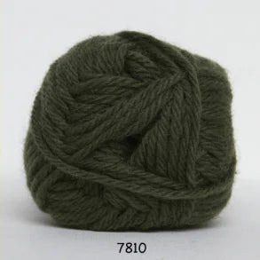 Ragg farvenummer 7810