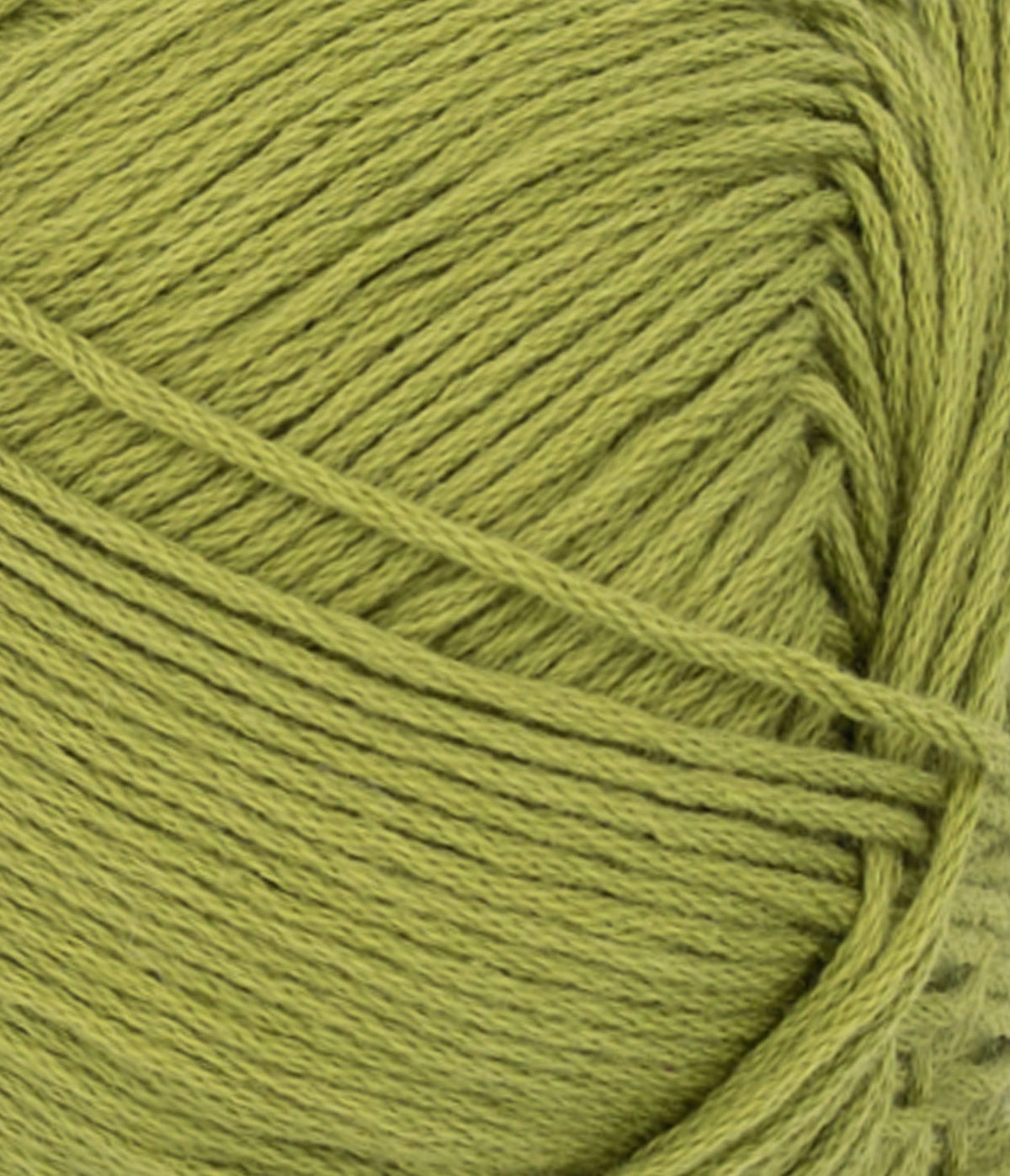Mandarin Petit Matcha