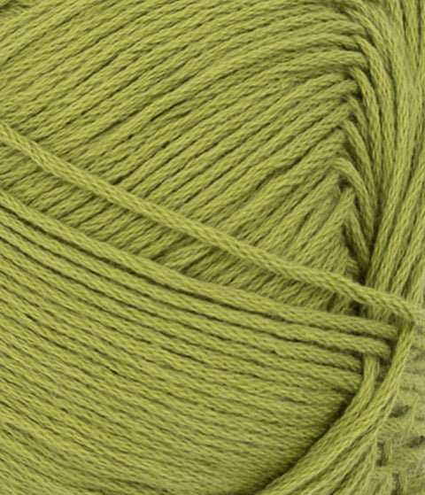 Mandarin Petit Matcha
