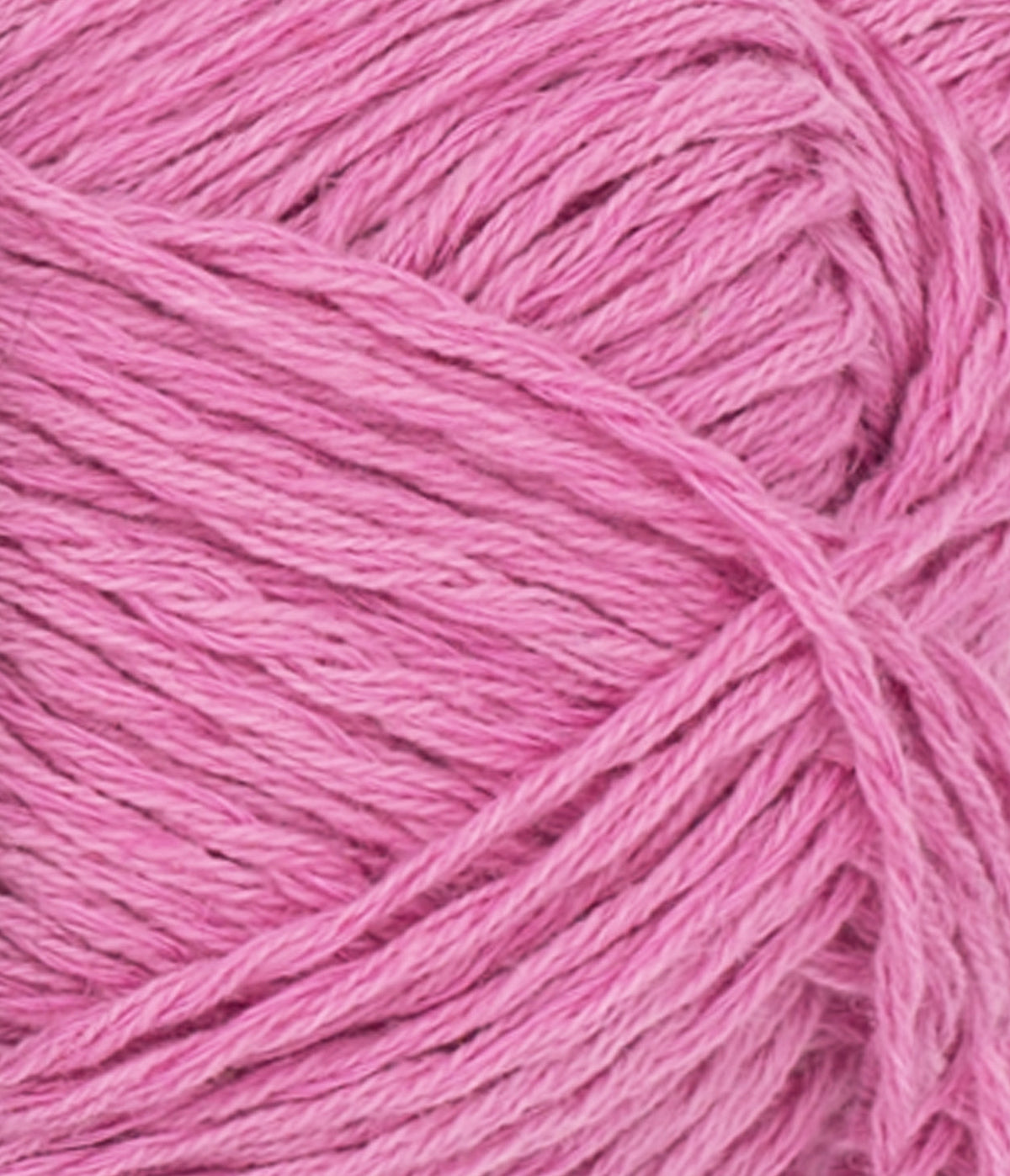 Line Shocking Pink