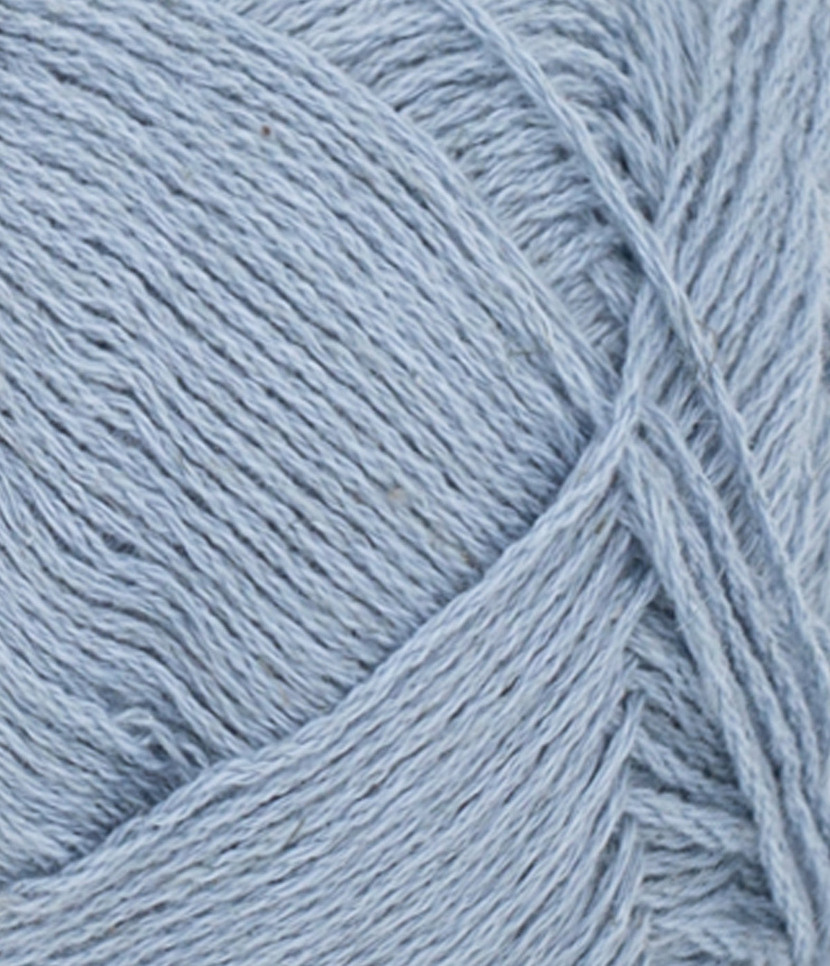 Tynn Line Blå Hortensia 