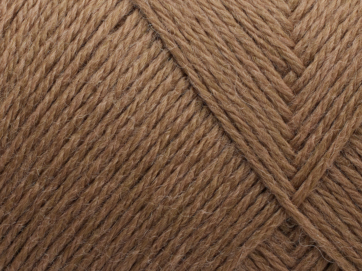 Arwetta - Camel