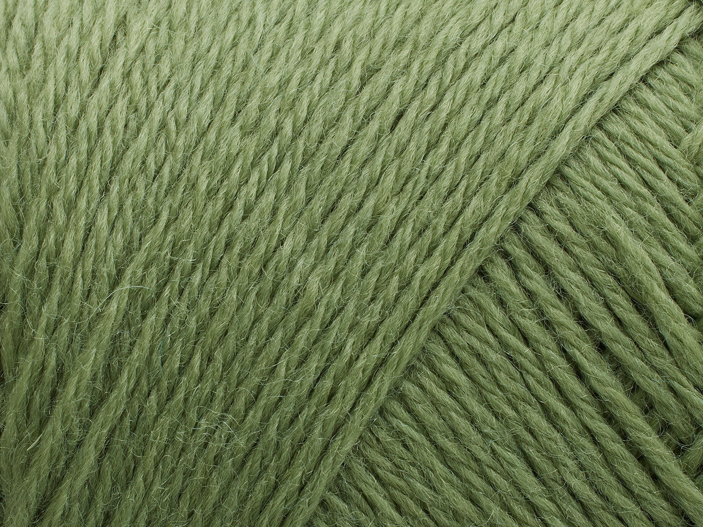 Arwetta  - Basswood Green