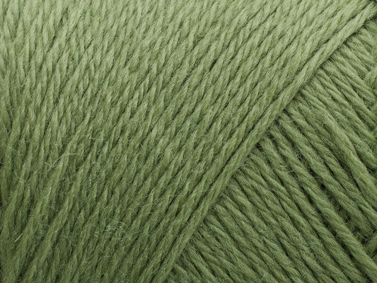 Arwetta  - Basswood Green