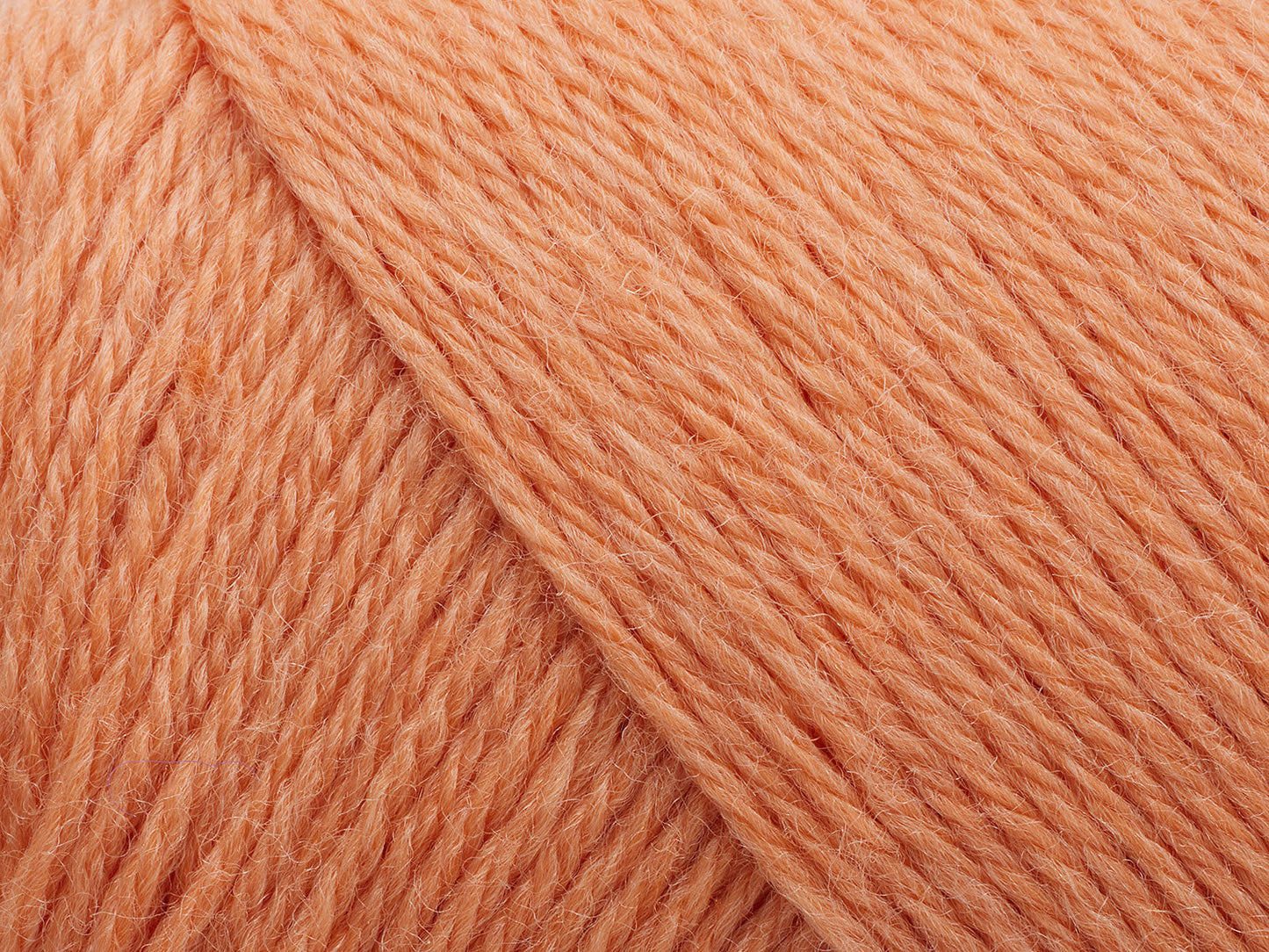 Arwetta  - Coral
