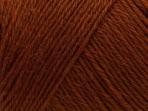 Arwetta  - Red Squirrel