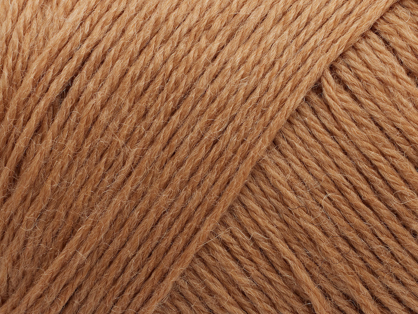 Arwetta Classic - Caramel