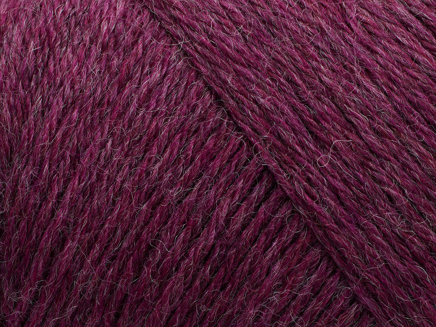 Arwetta  - Boysenberry (melange)