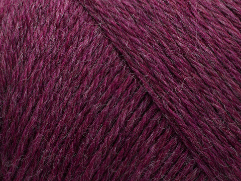 Arwetta  - Boysenberry (melange)