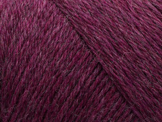 Arwetta  - Boysenberry (melange)