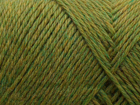 Arwetta  - Avocado