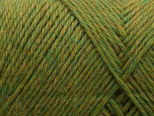 Arwetta  - Avocado