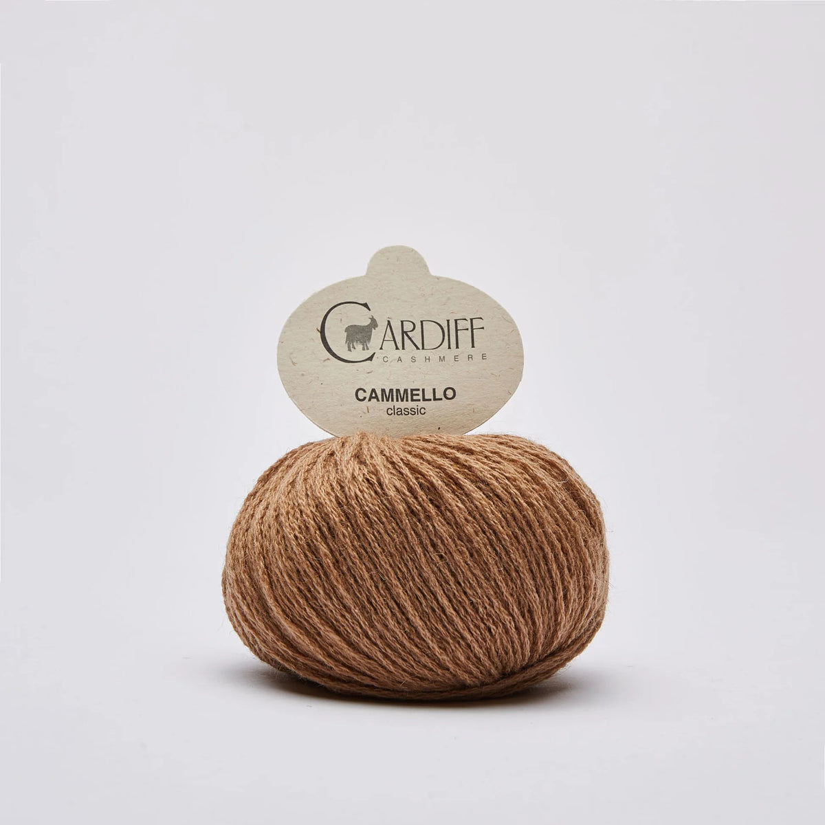 Cardiff Cashmere Cammello Classic – 100 % kamel