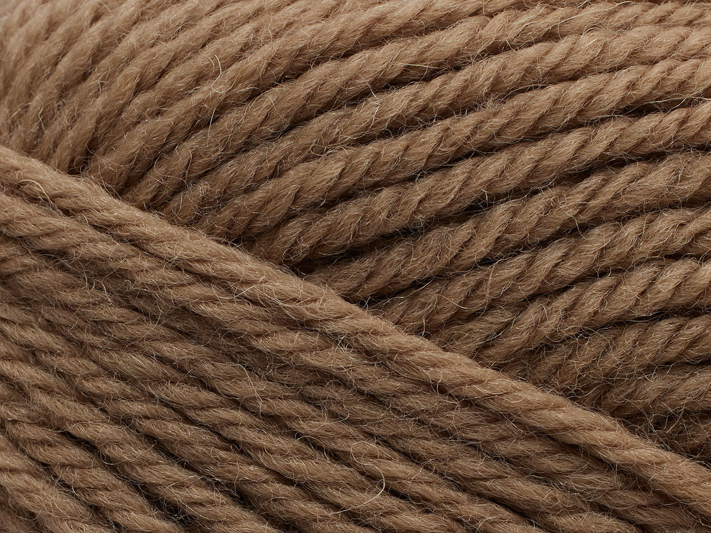 Peruvian - Camel