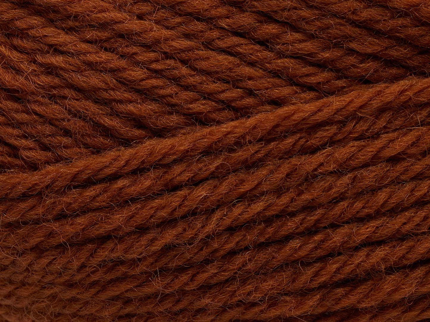 Peruvian - Red Squirrel