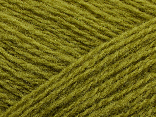 Saga - Sorrel