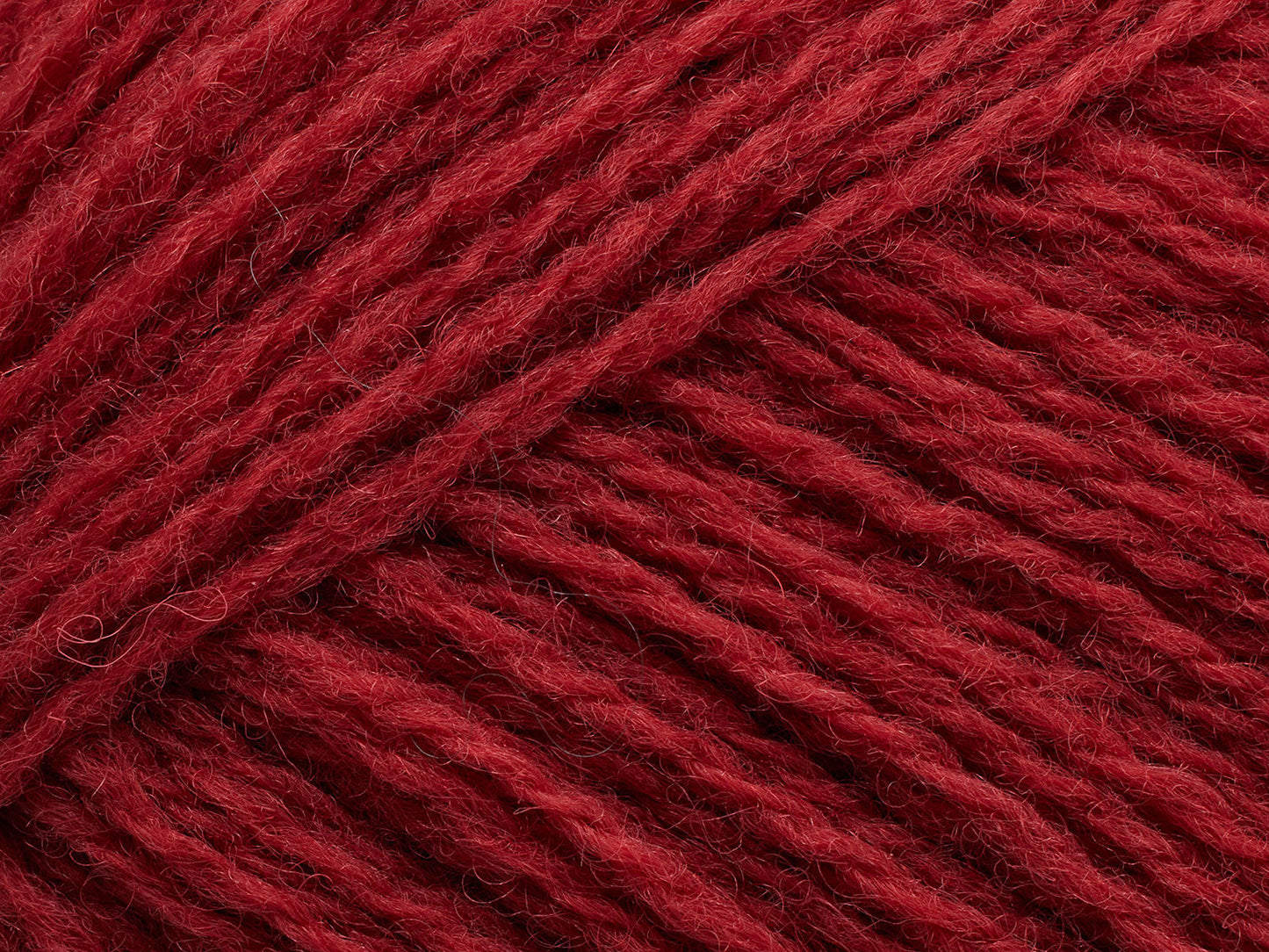 Saga - Lingonberry