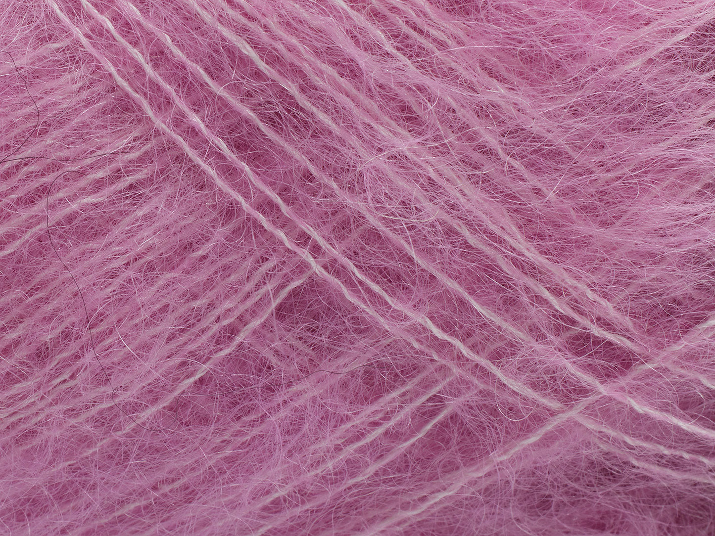 Tilia - Begonia Pink
