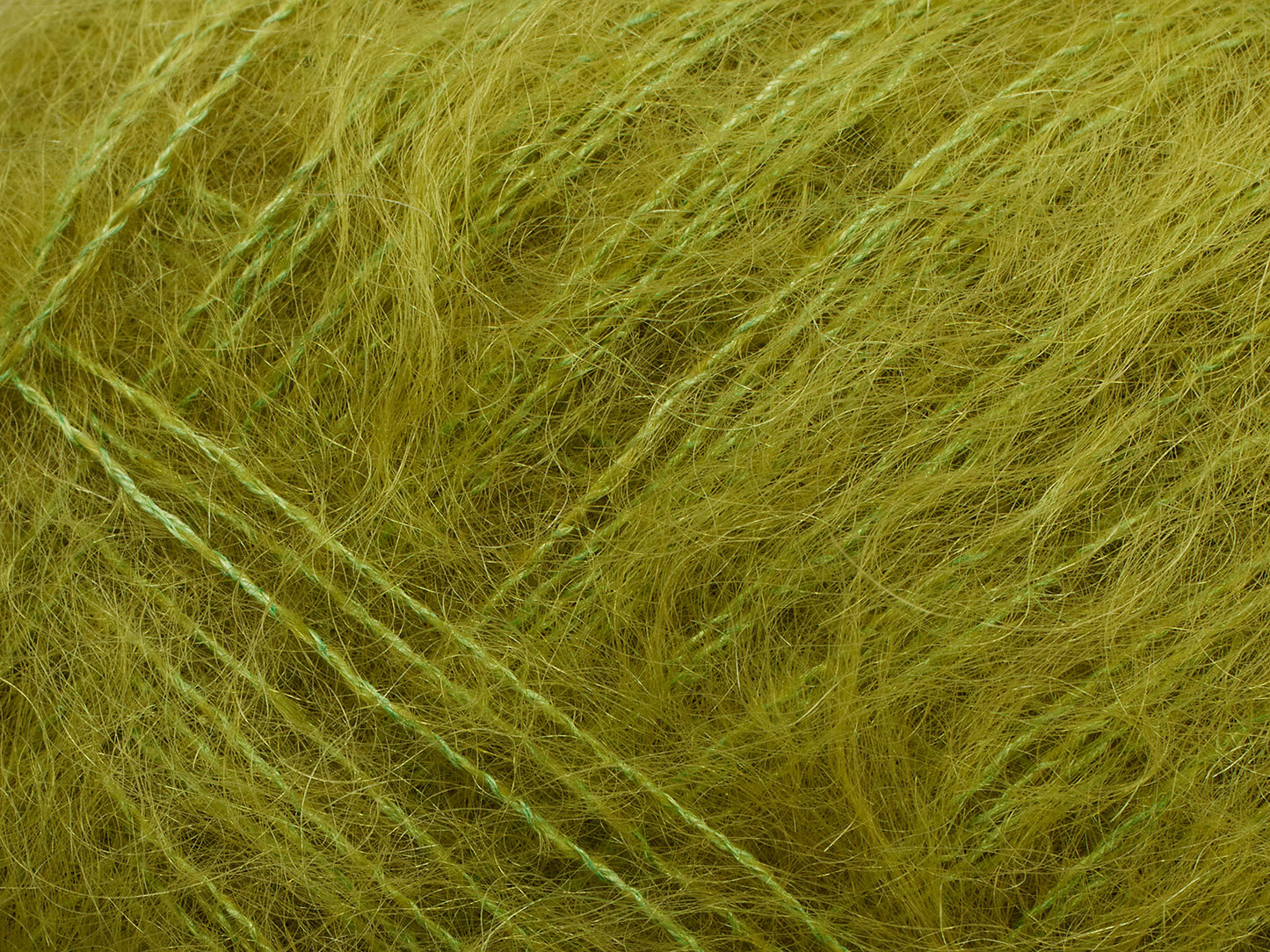 Tilia - Meadow