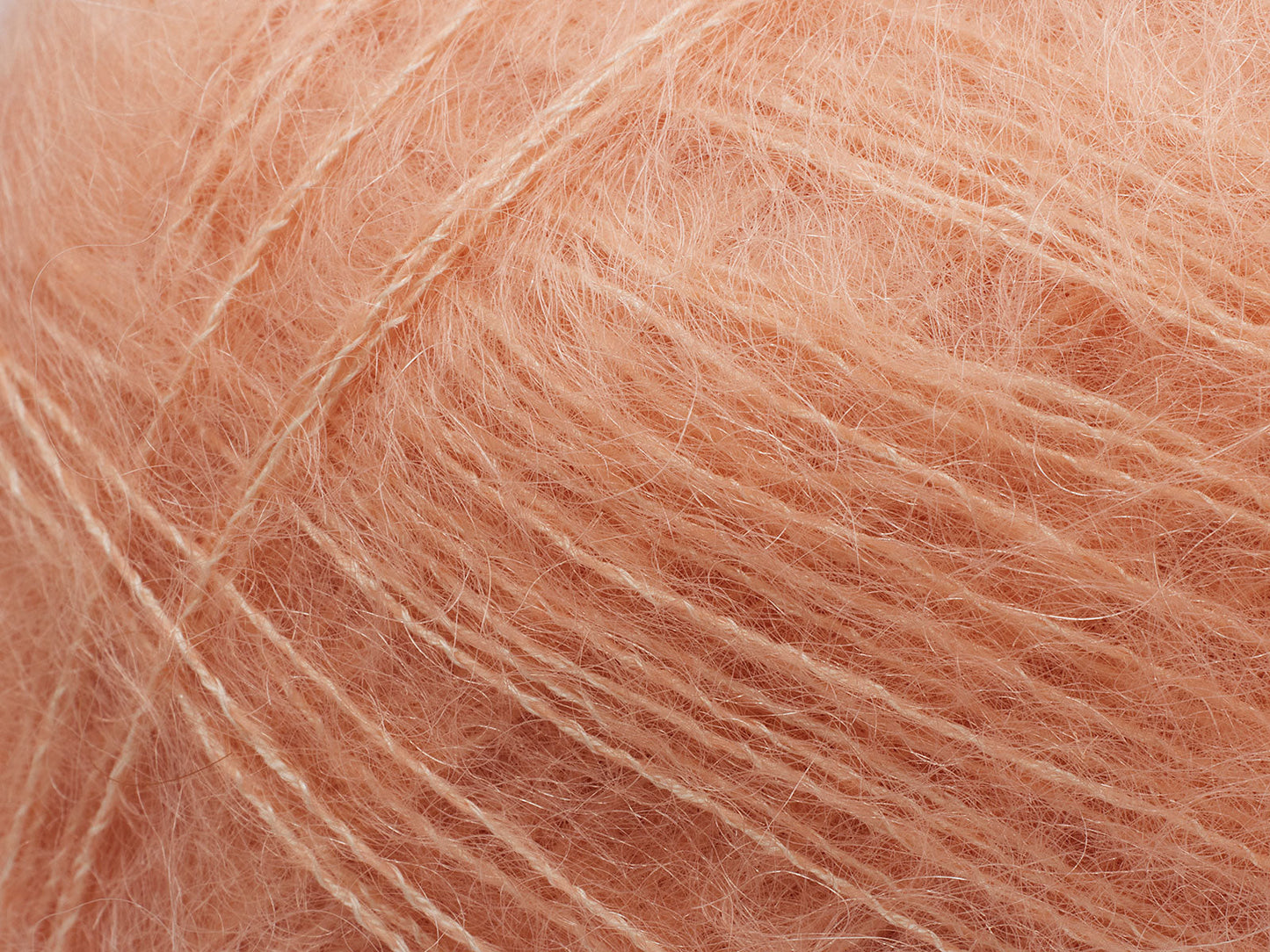 Tilia - Winter Peach