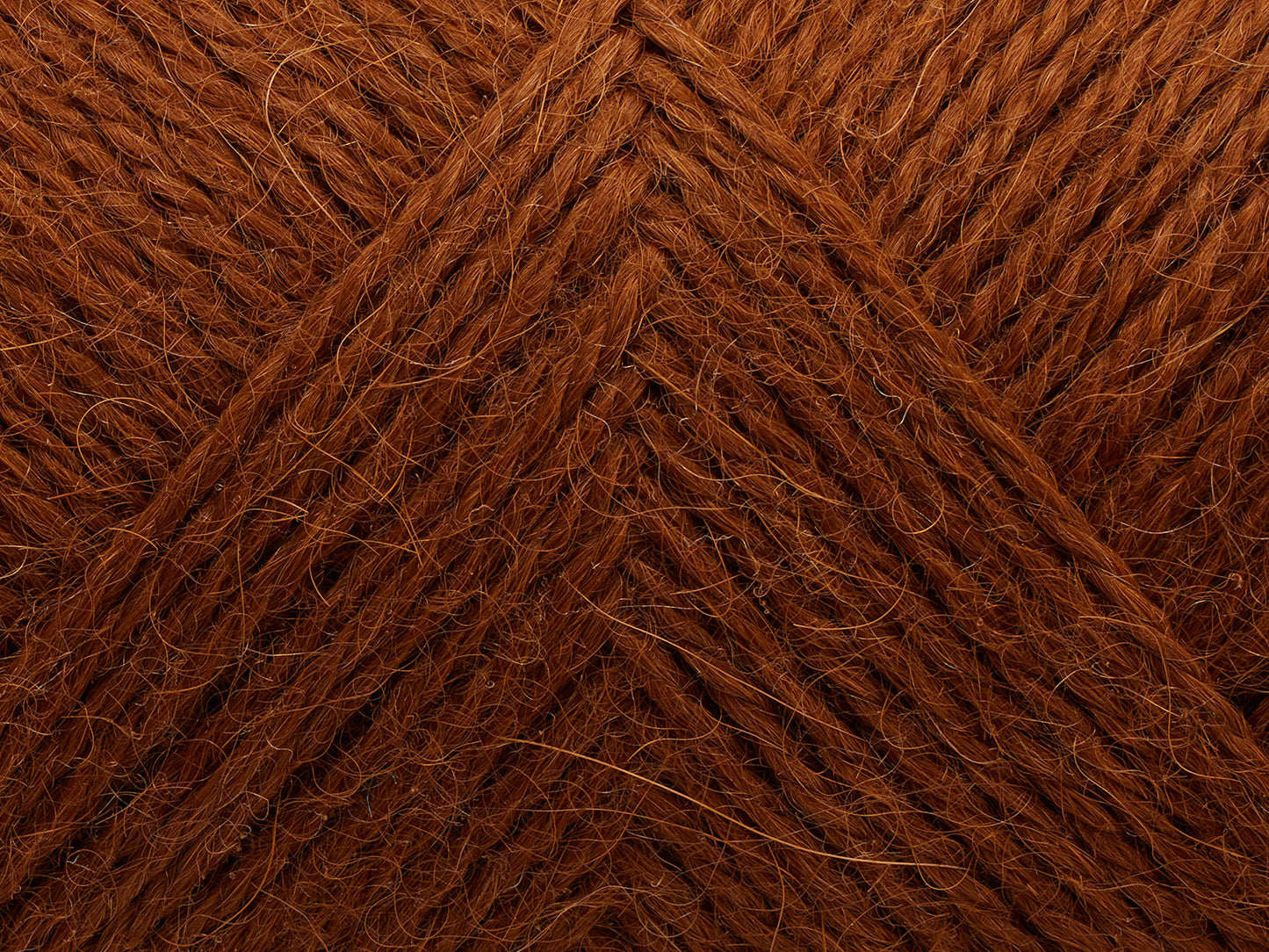Vilja - Red Squirrel